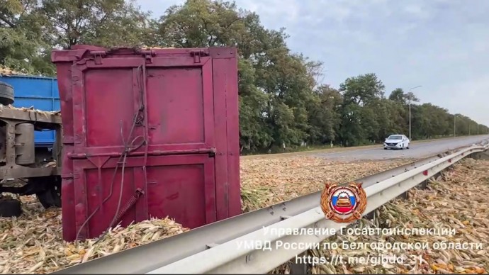 На дороге в Корочанском районе перевернулся прицеп КамАЗа с кукурузой