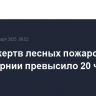 Число жертв лесных пожаров в Калифорнии превысило 20 человек