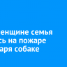 В Смоленщине семья спаслась на пожаре благодаря собаке