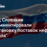 В МИД Словакии прокомментировали приостановку поставок нефти "Лукойла"