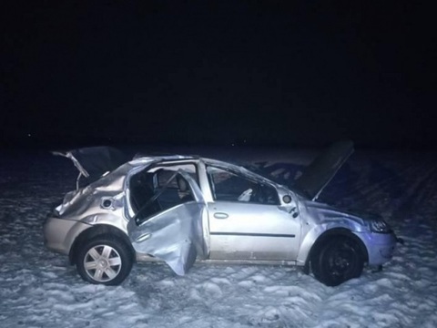 В Мордовии водитель «Рено Логан» погиб при опрокидывании, пострадала девушка