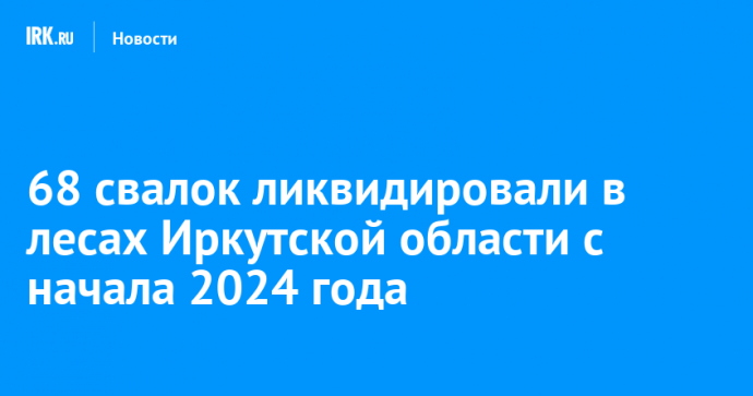 68 свалок ликвидировали в лесах Иркутской области с начала 2024 года