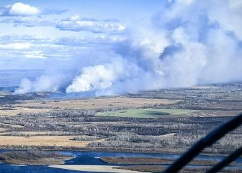 Ветер и непроходимые мари осложнили тушение природного пожара в Приамурье