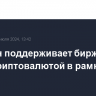 Минфин поддерживает биржевые торги криптовалютой в рамках ЭПР