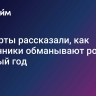 Эксперты рассказали, как мошенники обманывают россиян в Новый год