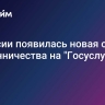 В России появилась новая схема мошенничества на "Госуслугах"