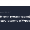 Около 80 тонн гуманитарной помощи доставлено в Курскую область