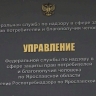 В Ярославской области запустят горячую линию из-за ситуации с вирусом Коксаки