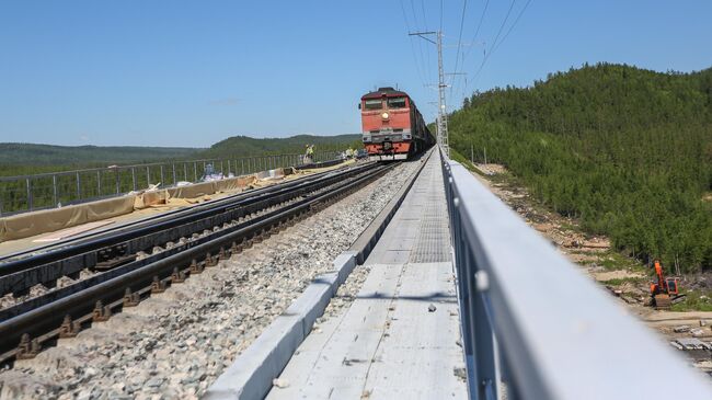 Движение поездов в московском регионе осуществляется в штатном режиме