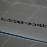 В области почти на половину выросла сумма налогов по декларациям