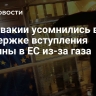 В Словакии усомнились в поддержке вступления Украины в ЕС из-за газа