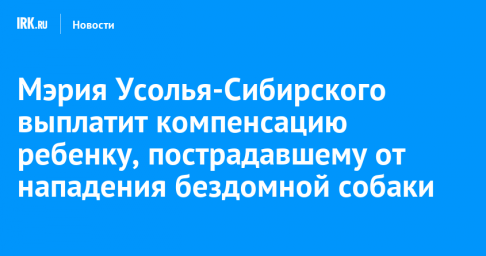 Мэрия Усолья-Сибирского выплатит компенсацию ребенку, пострадавшему от нападения бездомной собаки