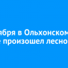 19 октября в Ольхонском районе произошел лесной пожар