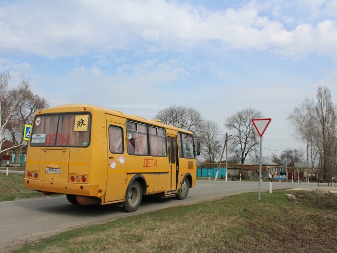 Белгородские власти не планируют запускать школьные автобусы в Маслову Пристань