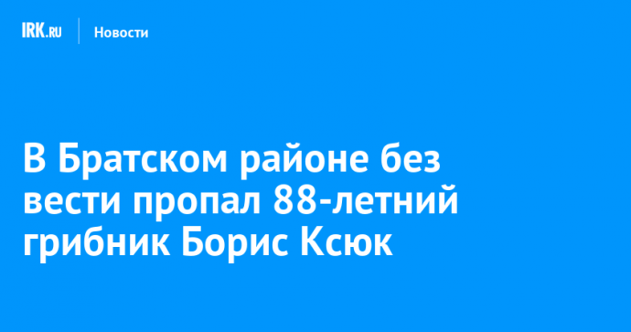 В Братском районе без вести пропал 88-летний грибник Борис Ксюк