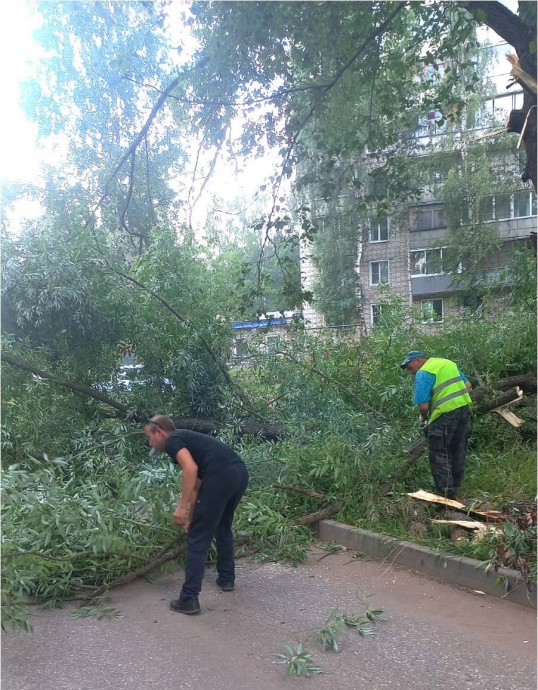 В Кирово-Чепецке сносят деревья