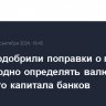 В Думе одобрили поправки о праве ЦБ ежегодно определять валюты уставного капитала банков