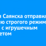 Жителя Саянска отправили в колонию строгого режима за разбой с игрушечным пистолетом