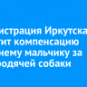 Администрация Иркутска выплатит компенсацию 11-летнему мальчику за укус бродячей собаки