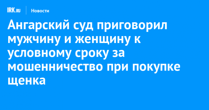 Ангарский суд приговорил мужчину и женщину к условному сроку за мошенничество при покупке щенка