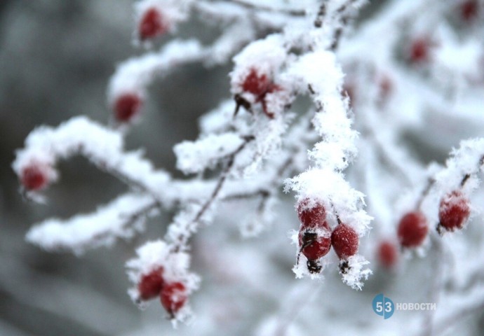 В Великом Новгороде ожидаются снежные зёрна