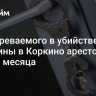 Подозреваемого в убийстве женщины в Коркино арестовали на два месяца