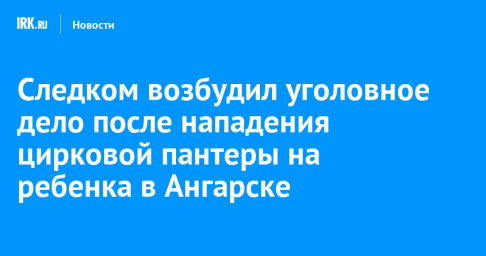 Следком возбудил уголовное дело после нападения цирковой пантеры на ребенка в Ангарске