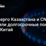 Минэнерго Казахстана и CNPC обсудили долгосрочные поставки газа в Китай