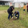 Движение, основанное в Новосибирске депутатом Романом Яковлевым, высадило деревья в Подмосковье