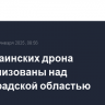 Три украинских дрона нейтрализованы над Ленинградской областью