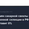 Доля семян сахарной свеклы отечественной селекции в РФ в этом году составит 8%