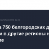 Порядка 750 белгородских детей выехали в другие регионы на обучение