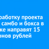 На разработку проекта центра самбо и бокса в Иркутске направят 15 миллионов рублей