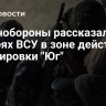 В Минобороны рассказали о потерях ВСУ в зоне действий группировки "Юг"