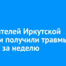 446 жителей Иркутской области получили травмы на улицах за неделю