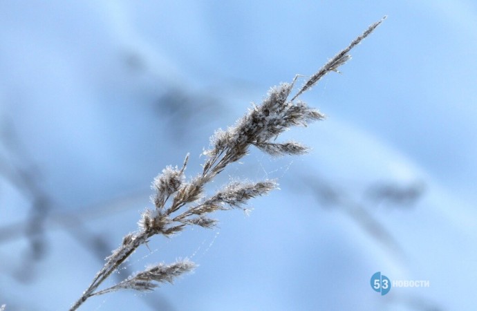 Новгородцам рассказали о погоде в первые выходные февраля