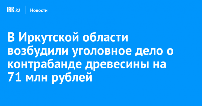 В Иркутской области возбудили уголовное дело о контрабанде древесины на 71 миллион рублей