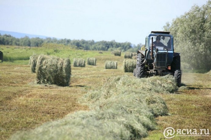 Задачи по проведению кормозаготовительной кампании поставлены главой Якутии