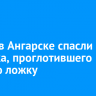 Врачи в Ангарске спасли ребенка, проглотившего чайную ложку