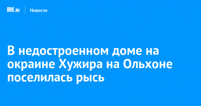 В недостроенном доме на окраине Хужира на Ольхоне поселилась рысь