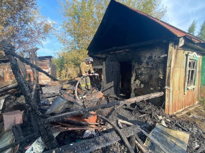 В Пензенской области женщина заживо сгорела в собственном доме