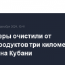 Волонтеры очистили от нефтепродуктов три километра пляжей на Кубани