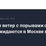 Дождь и ветер с порывами свыше 20 м/с ожидаются в Москве в четверг