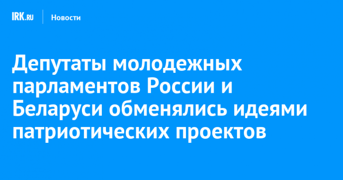 Депутаты молодежных парламентов России и Беларуси обменялись идеями патриотических проектов