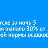 В Иркутске за ночь 5 февраля выпало 30% от месячной нормы осадков