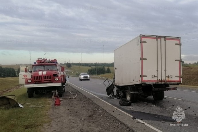 Несколько человек пострадали в ДТП с грузовой «Газелью» в Калужской области