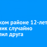 В Чунском районе 12-летний школьник случайно застрелил друга