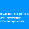 В Нижнеудинском районе разыскали мужчину, уехавшего за орехами