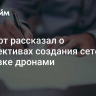 Эксперт рассказал о перспективах создания сетей по доставке дронами