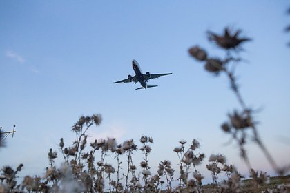 Аэропорты Москвы продолжили работать штатно после вводившихся ограничений